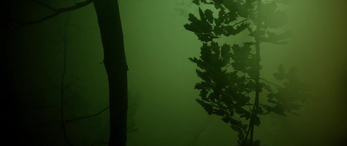 A foggy forest is spotlights shining in
