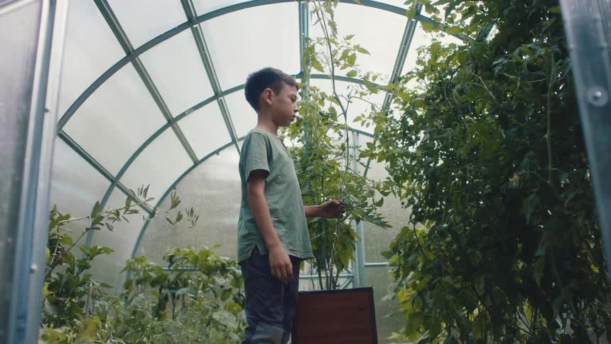 A boy is walking around inside a greenhouse looking at the plants