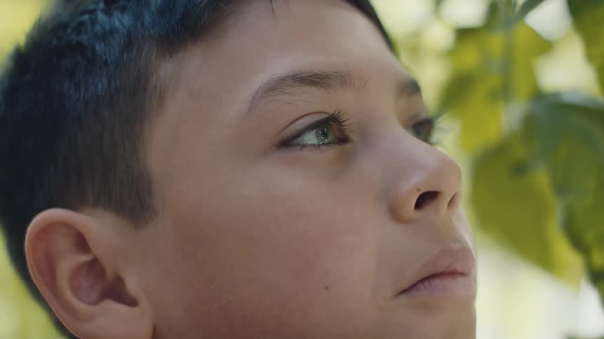 Boy stands among plants looking around