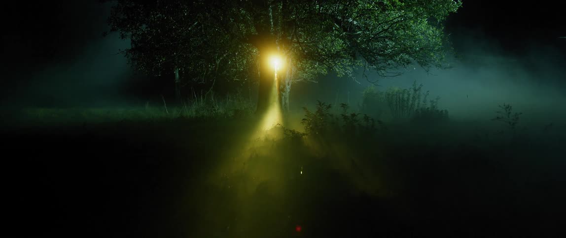 A yellow light shines from a tree