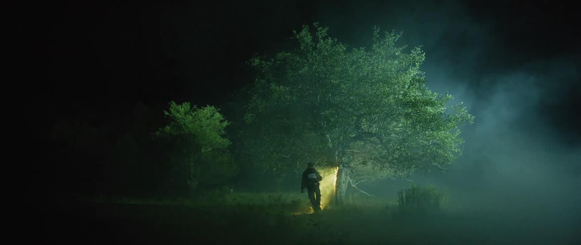 An officer is walking slowly past a tree at night