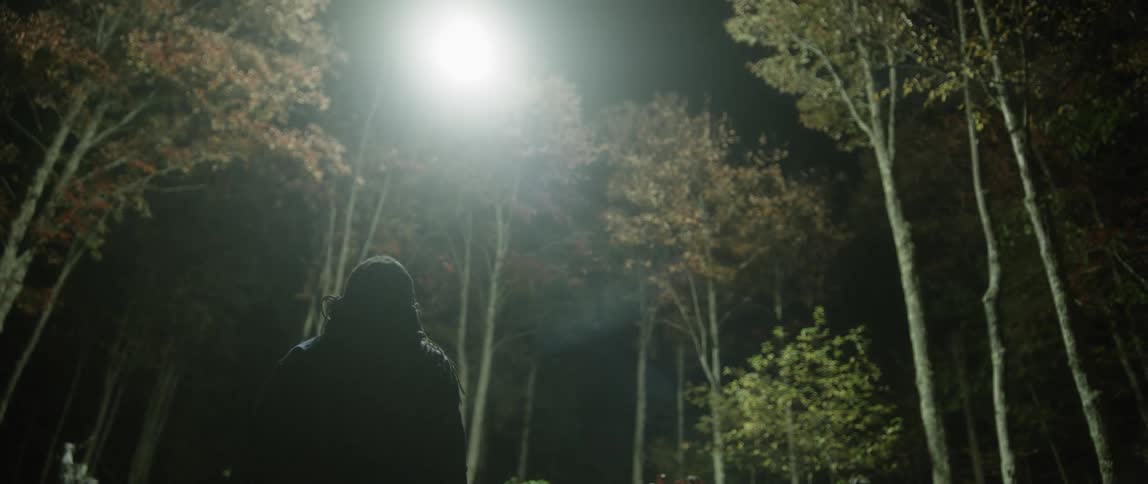 A man looks up at a spotlight in a forest