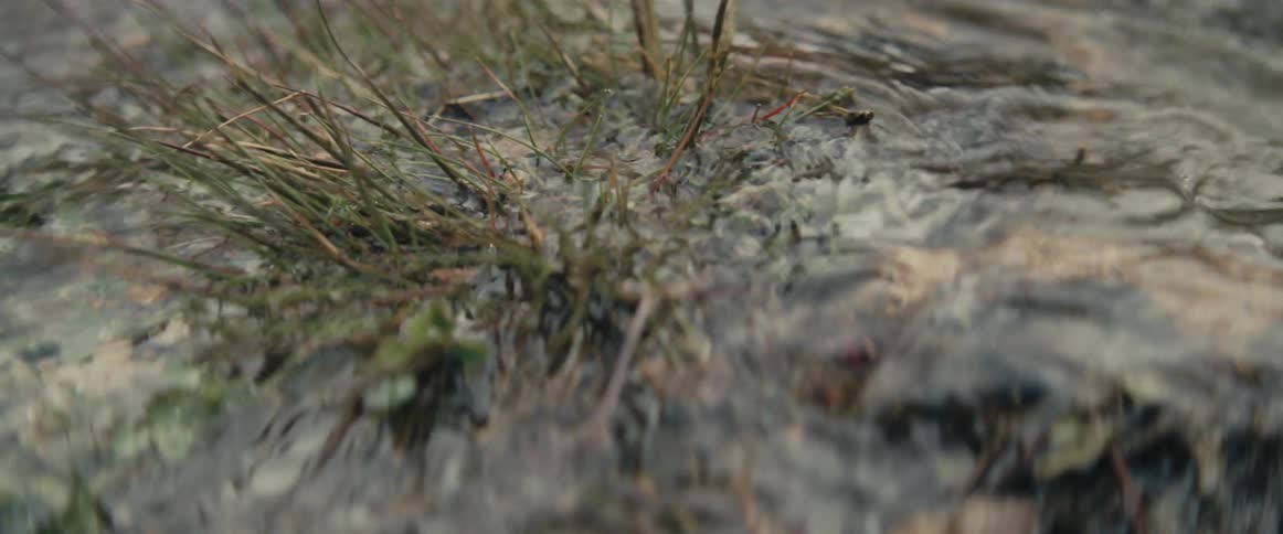 Water flows over clump of grass in mud