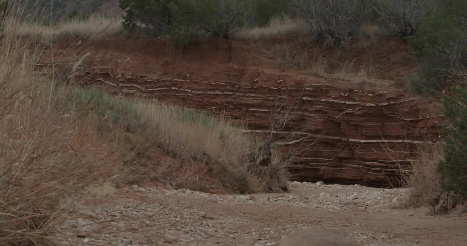 A footage of cliff at desert area