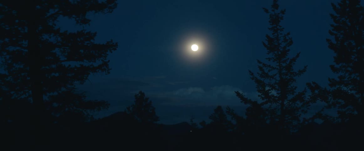 Full moon shines bright at night
