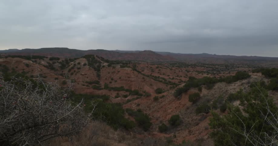 A lone desert