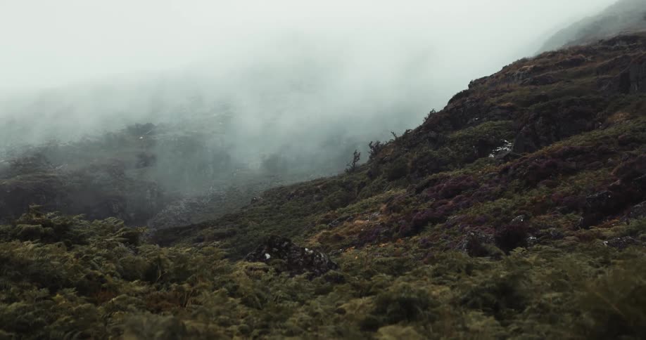 Misty mountain top