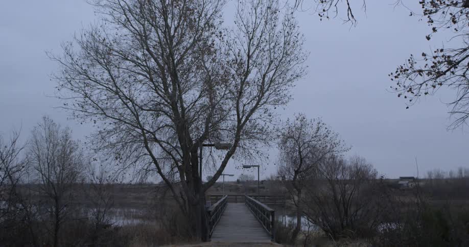 A bridge over a lake