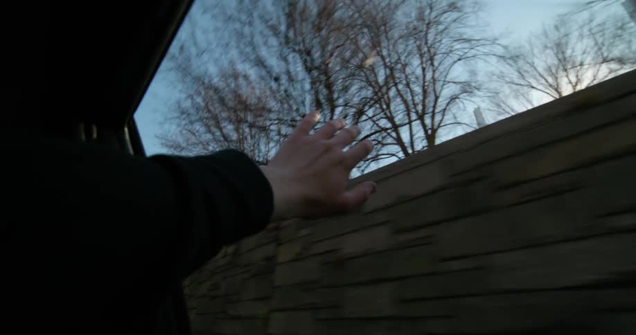 A person in a moving vehicle sticks their hand outside as they pass a park