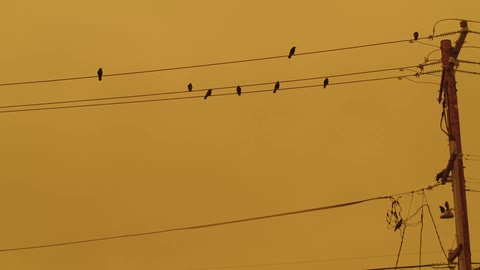 Corduroy Media featured clip