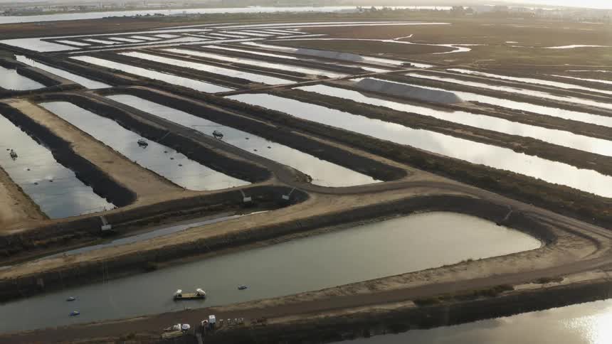 The pools of water are around the farm