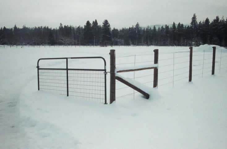 Tire tracks run past a gate and through a snow covered field near a forest