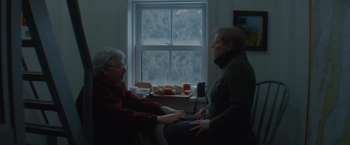 An elderly couple playing cards in front of a window at home