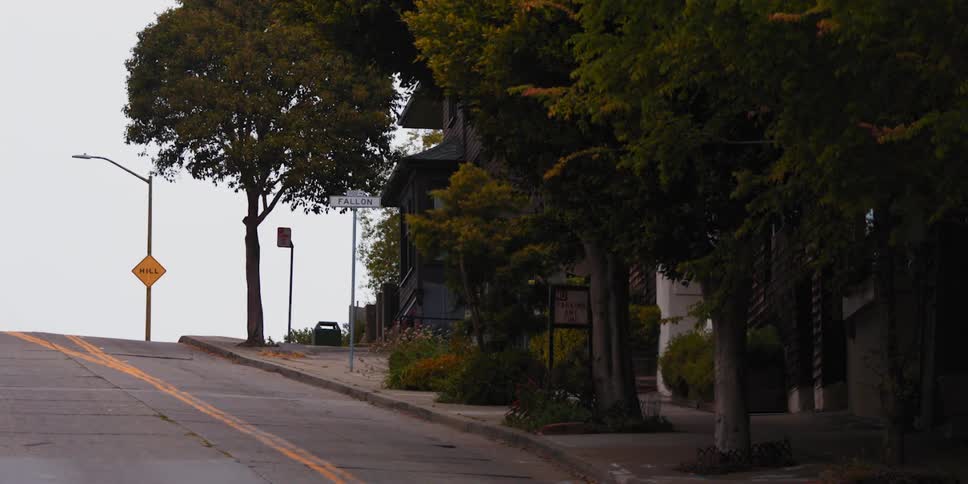 An empty street is displayed in spring
