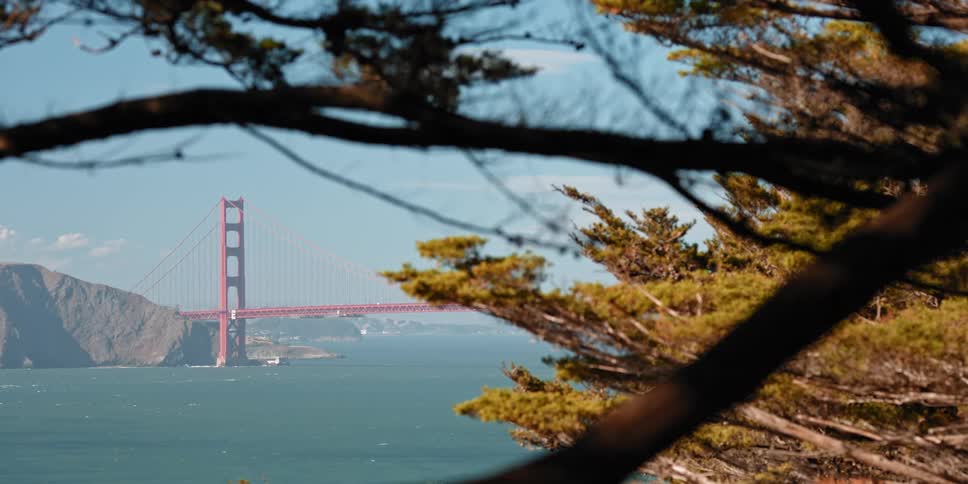 A view through the trees of a suspension bridge over water and a mountain in the distance