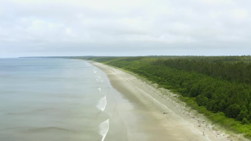 Waves crash onto beach bordered by forest