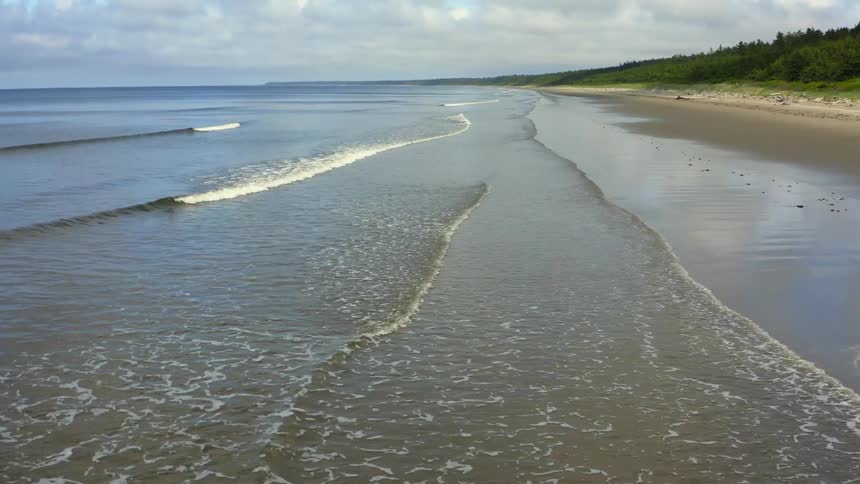 Waves are rolling in on a beach and there is a forest of trees along the coastline