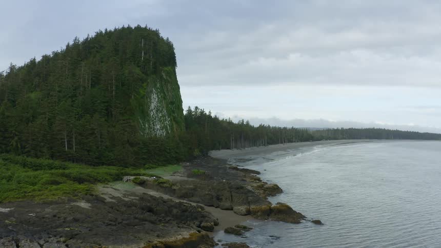 Sheds and a footbridge sit near beach as forest covers promontory and land bordering shore