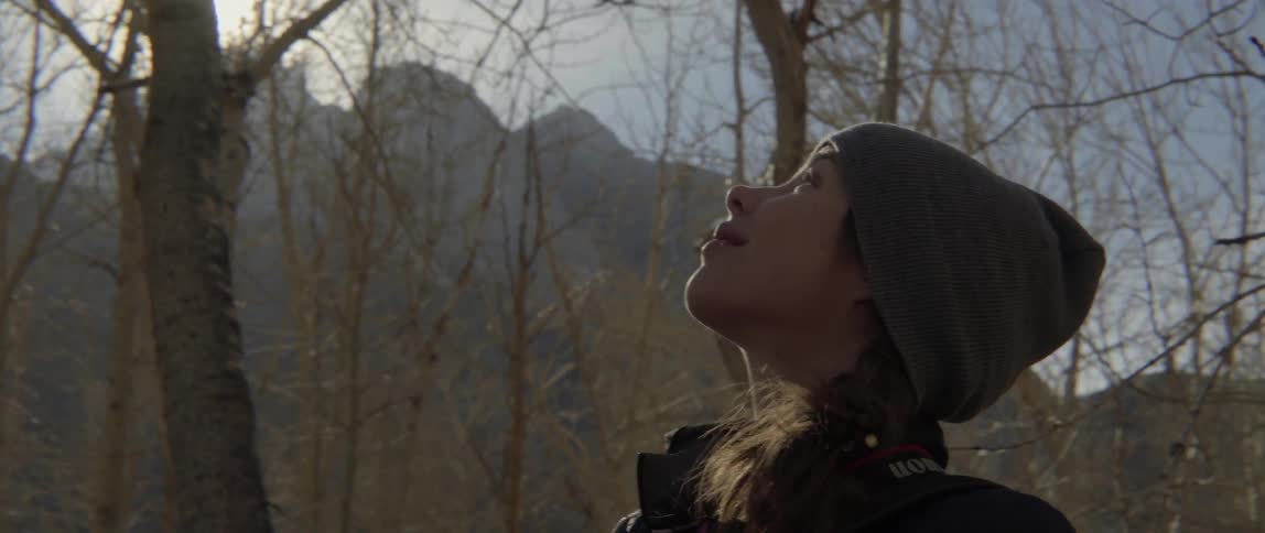 A woman standing amongst trees looks up toward the sky