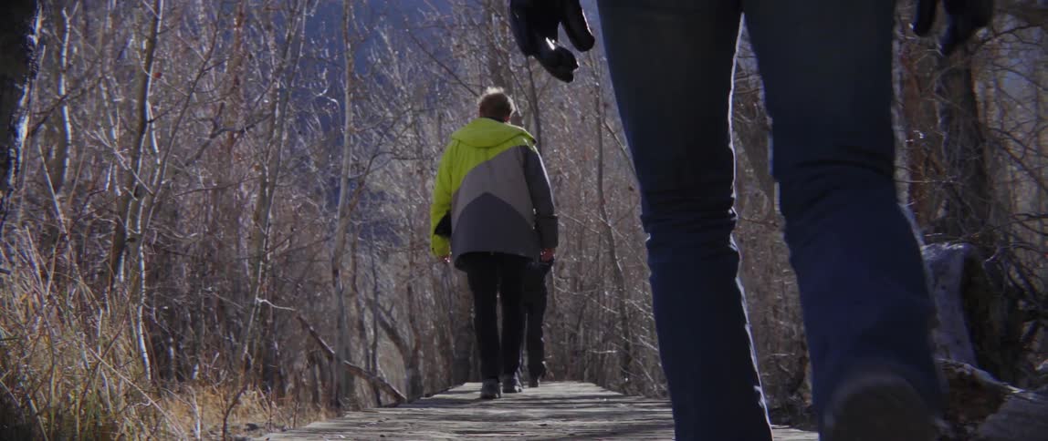 A group of people walk over a wooden pathway in a forest