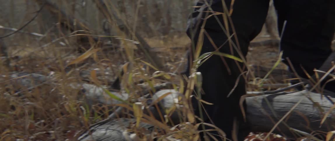 A woman is carrying a camera walking over logs in the woods