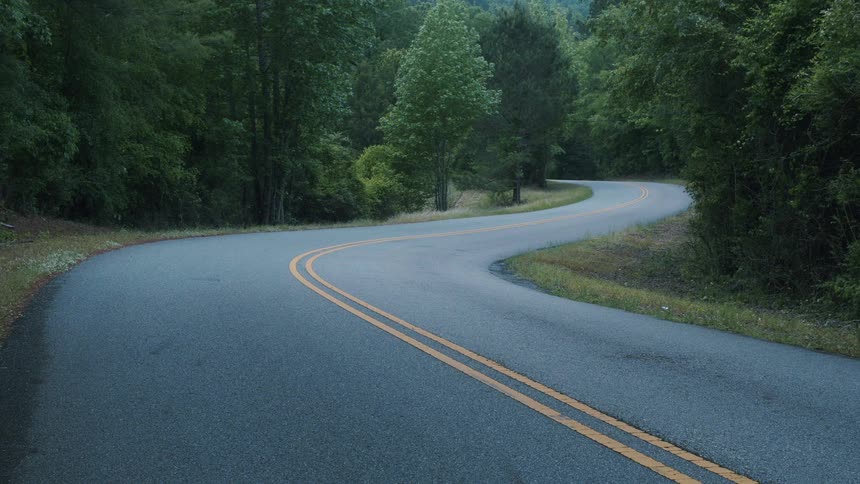 An empty and winding road surrounded by thick forest