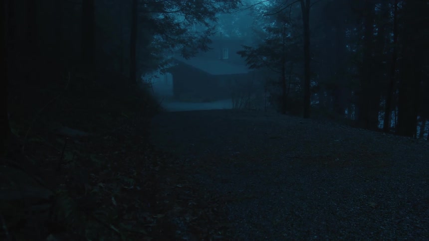A tree lined dirt drive leads to an isolated house on a dreary day