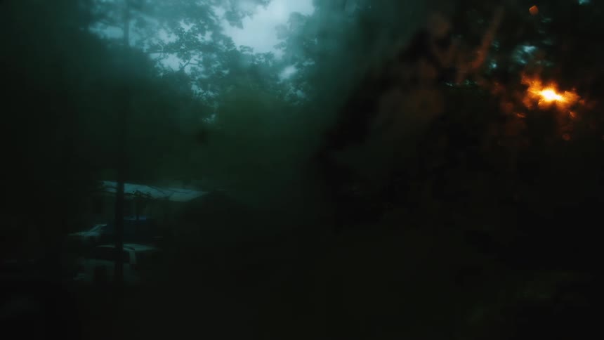 A small fire burning in a forest