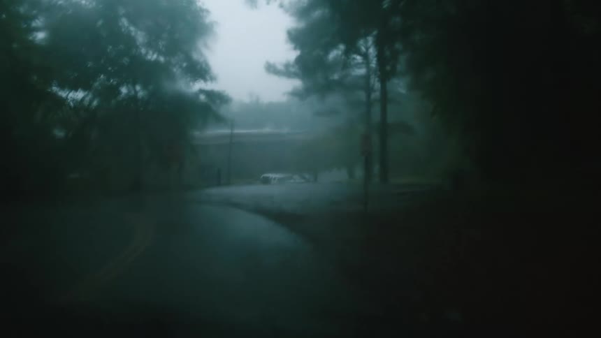 A car driving through dense trees during a summer rainstorm