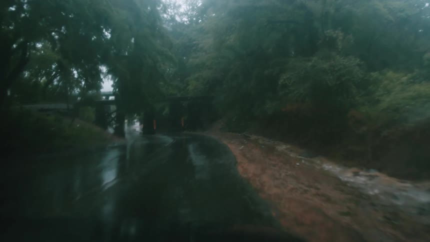 A car driving down a road in a forest