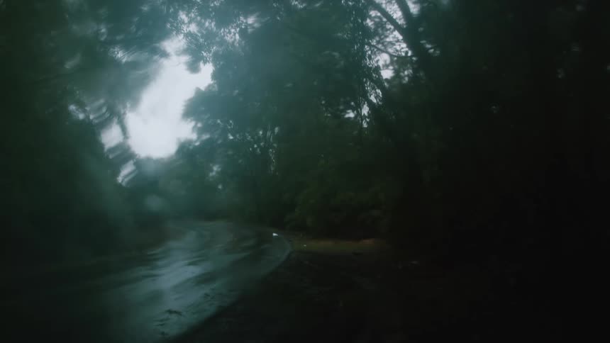 A road is empty near a wooded area