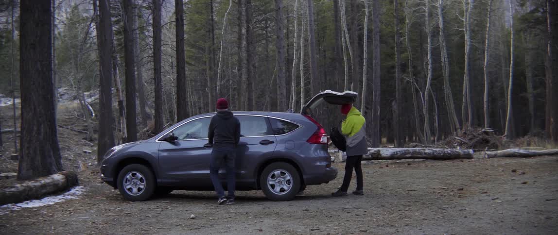 People Packing Up Their Vehicle by the Trees With Warm Conversation Before Departure.