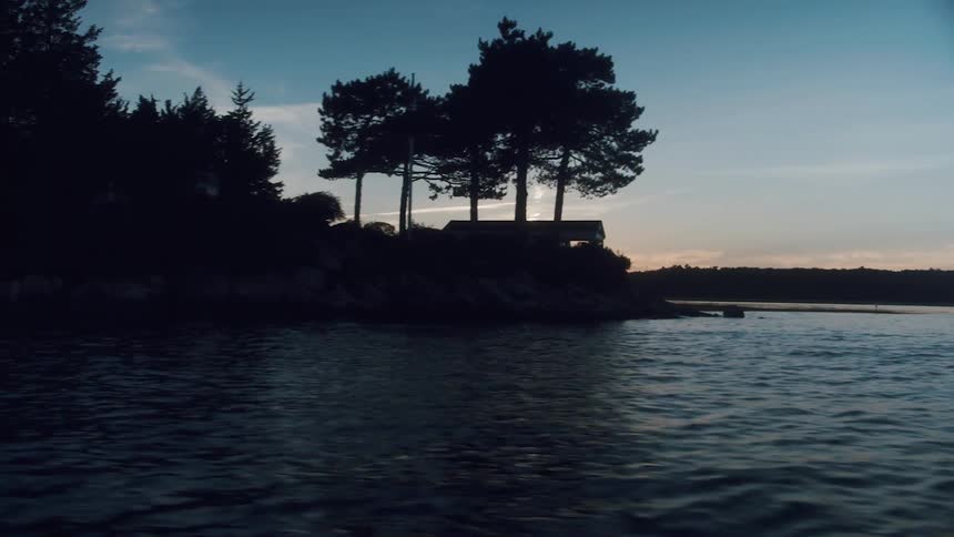 Tall trees surround a pier over the ocean