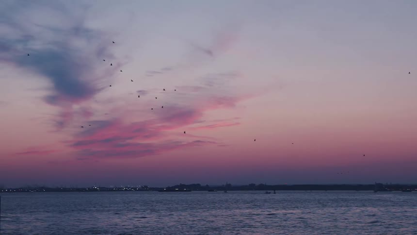 Birds fly past the statue of liberty