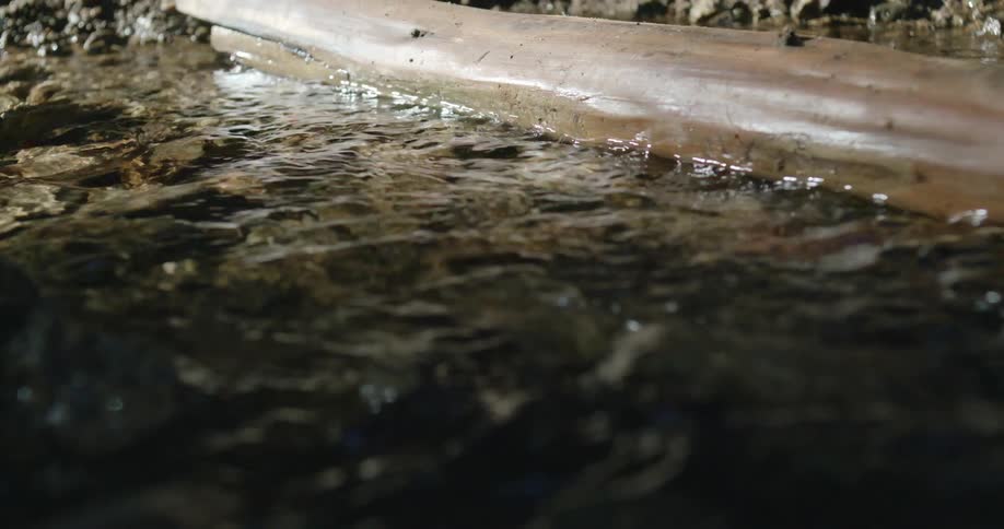 Sunlight is reflecting on water in a stream running next to a fallen log