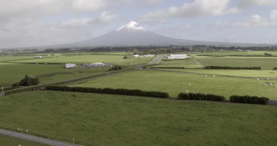 Aerial view of a farm with sheep on a field
