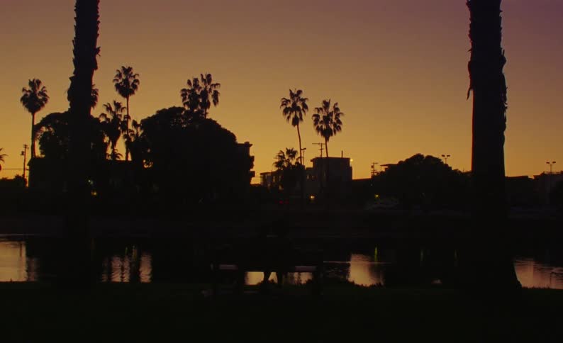 The sun is setting on the pond