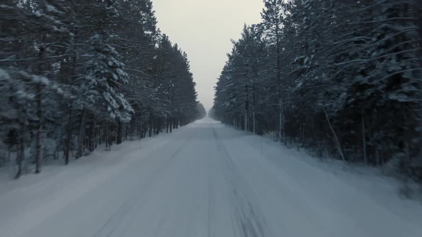 A snow covered forest road with snow covered trees along the roadside