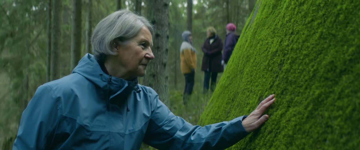 Elderly woman extends her arm to touch the moss over the surface of a big rock in the forest