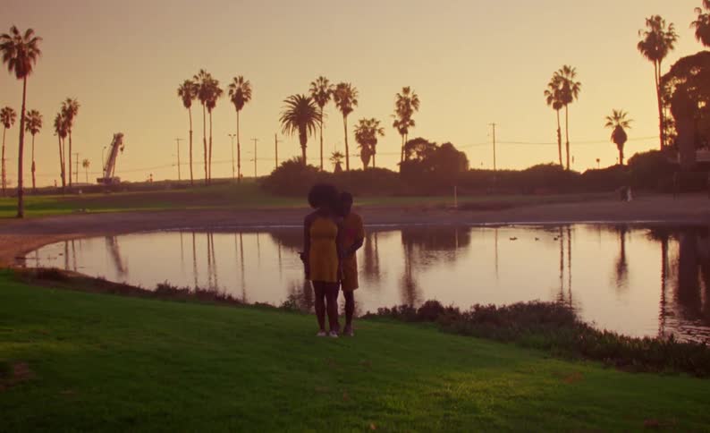 Couple preparing to dance in front of a lake in a park next to palm trees at sunset caught on vintage film