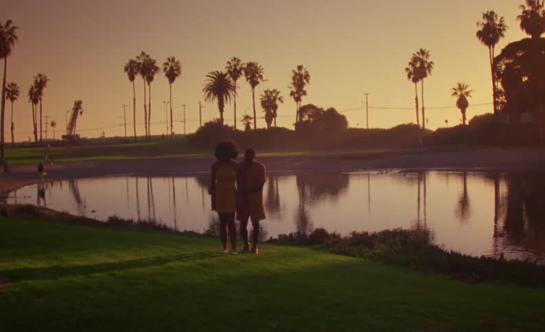 Couple posing in front of a lake in a park next to palm trees at sunset caught on vintage film