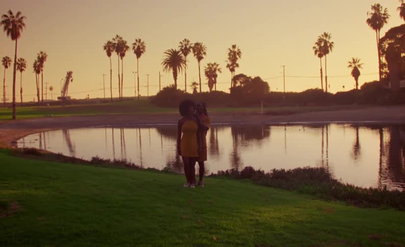 Couple dancing in front of a lake in a park next to palm trees at sunset caught on vintage film