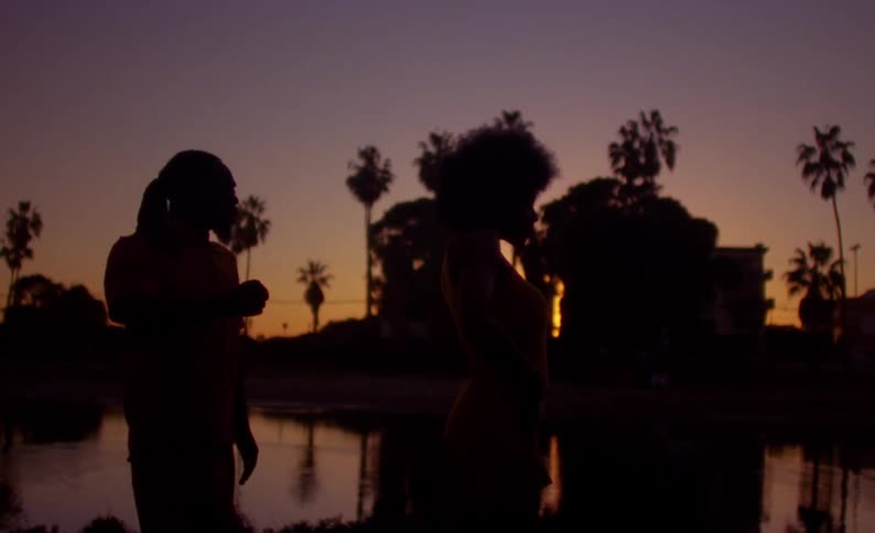 A man and woman dance on the shore in a tropical area at sunset