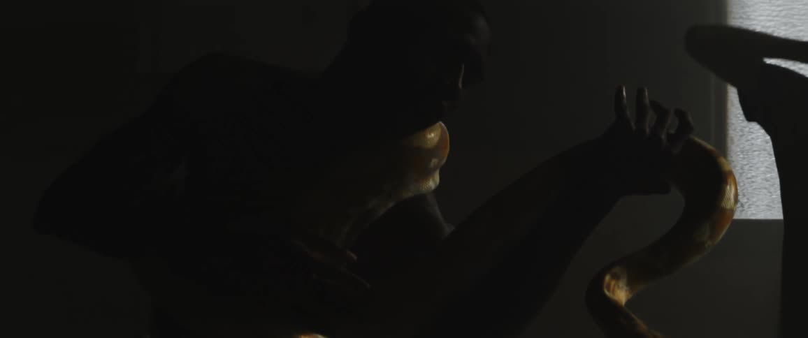 A man is holding a huge snake in the room