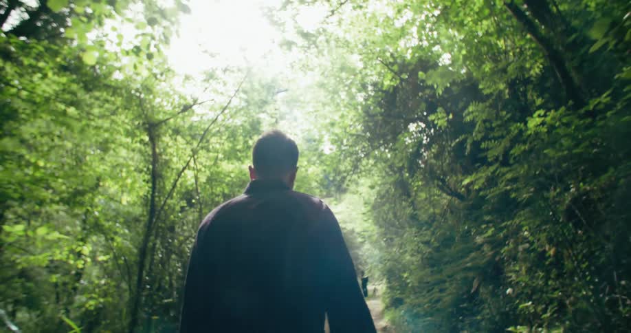 A man walks through a forest