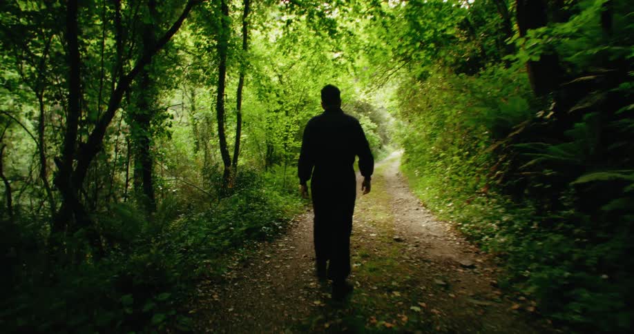 A man walks down a path in a forest during the day