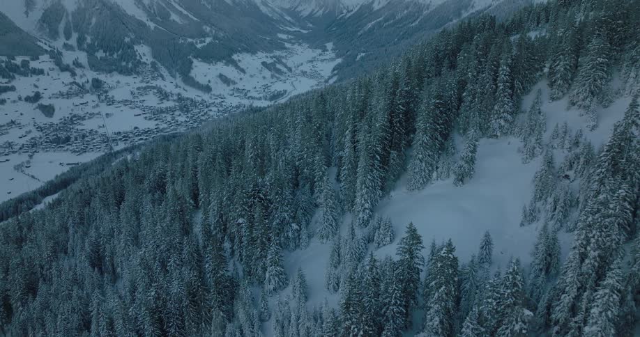 An aerial view of snow covered trees on a mountain range