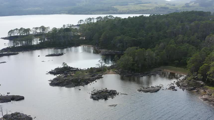 The island is covered in dense trees