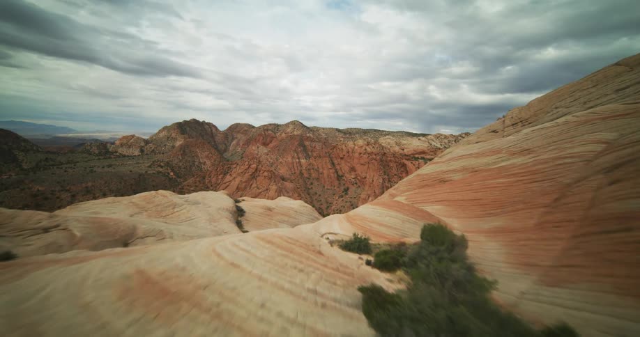 Trees dot the landscape and fill the valley of a vast canyon