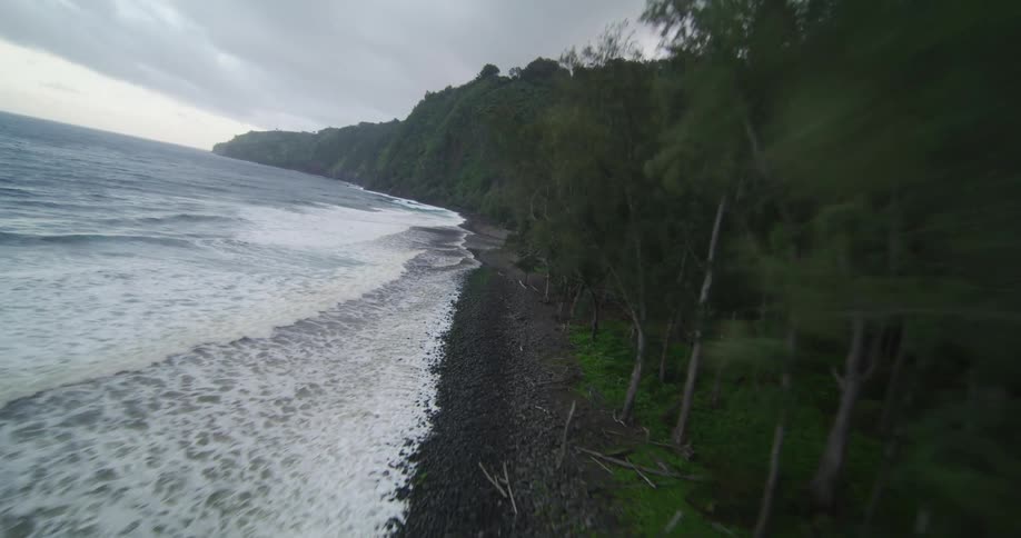 Waves roll over a rocks on a beach along a forested shoreline under a cloudy sky